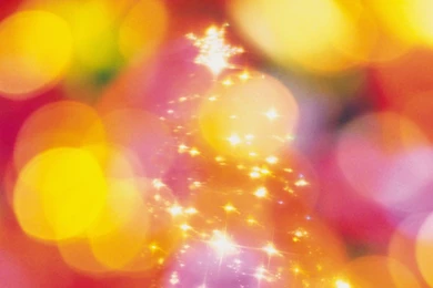 Christmas Celebration With Romantic Christmas Atmosphere 1024x768 ...