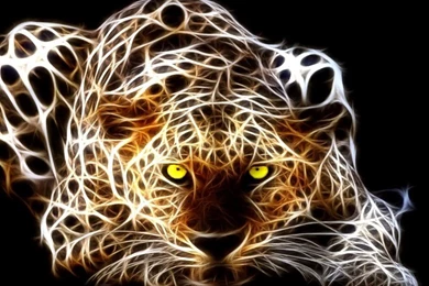 History Of The Democrats And The KKK.....(Why The Democrats ...