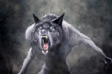 Download Halloween Terror Animated Wallpapers