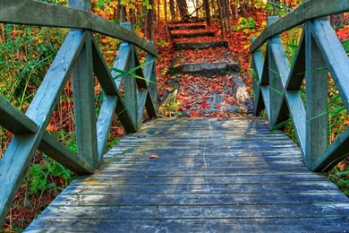 Beautiful Scenery Wallpapers Josh007 – Wallpaperjosh