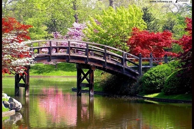 Beautiful Scenery Images   Photo 271 Of 387