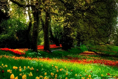 Good Scenery Wallpapers