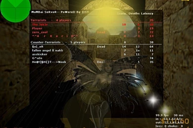 Cs 1.6 Score Screenshot 9