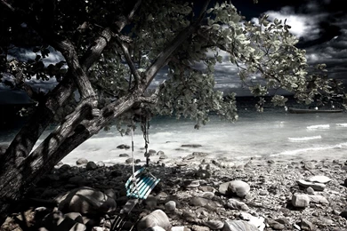 Nature Wallpapers Black And White Nature Wallpapers