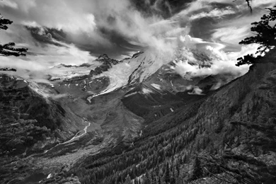 Black And White Nature Wallpapers High Quality Resolution