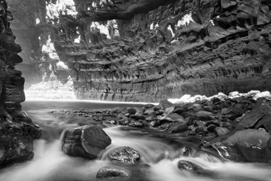 Top 30 Beautiful Black And White Nature HD Wallpapers