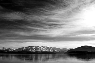 Black And White Nature Wallpapers » WallDevil   Best Free HD ...