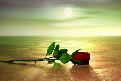 Make Wallpapers Online « HD Wallpapers