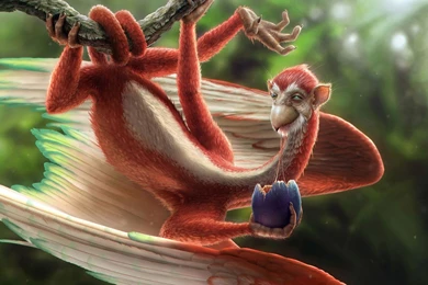 Animals   Animal Wallpapers Online Free HD