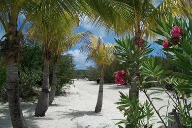 Free Online Wallpapers For Desktop   Wallpapers Cave