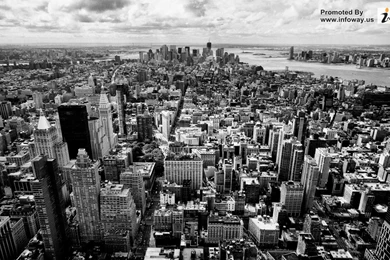 Black And White Nature Wallpapers   Photo 234 Of 267