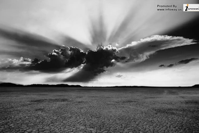 Black And White Nature Wallpapers   Photo 237 Of 267