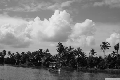 1920X1080 Wallpapers Hd Black And White Of Nature Wallpapers ...