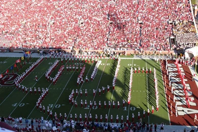 BOOMER SOONER!!!   Arti D Bhakta