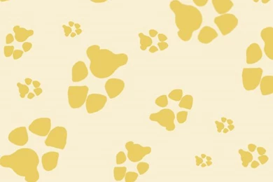 Free Paw Print Backgrounds   Dog Paw Print