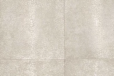 Galuchat Wallpapers   View Designs   Wallpapers   Andrew Martin