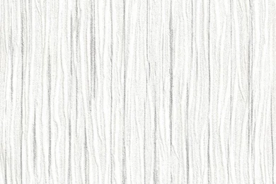 Embossed Forest Wallpaper, Ivory   Contemporary   Wallpapers   By ...