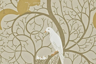 Squirrel &amp; Dove Wallpapers   Linen/Ivory (DVIWSQ101 ...