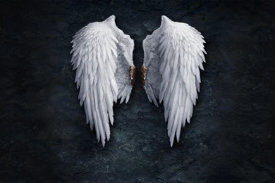 Angel Wallpapers, Free Desktop Backgrounds   Wallpapers Path