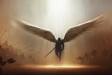 White Angel Wallpapers 1920x1080   (
