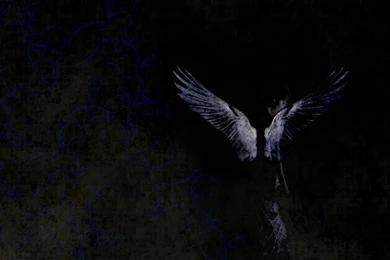 DeviantArt: More Like A N G E L Wallpapers By Coshkun