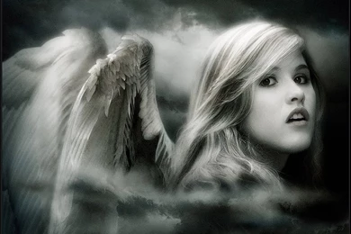 Free Dark Angel Wallpaper Backgrounds