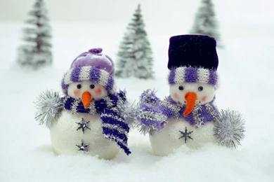 Snowmen Steam Trees Wallpapers   1440x900   600076