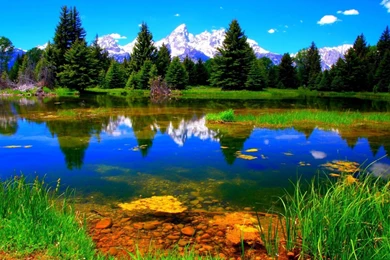 Colorful Nature Wallpapers