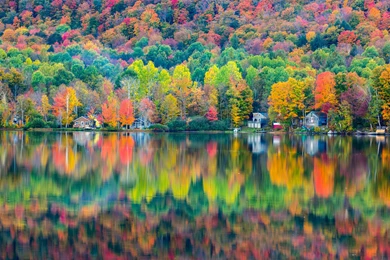 Colorful Nature Wallpapers