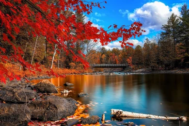 Colorful Nature Wallpapers 1080p For Desktop   Uncalke.com