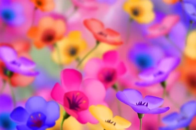 Colorful,flowers Colorful Flowers 1680x1050 Wallpapers – Flowers ...
