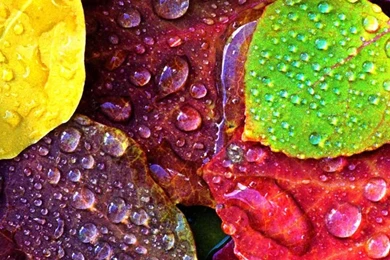 The Beauty Of Nature (iPhone 6 Plus) On Pinterest