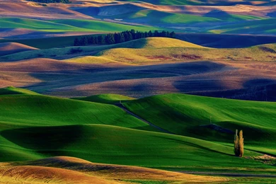 Amazing Hills Wallpapers