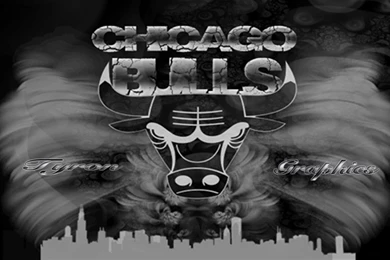 Chicago Bulls Wallpapers WF1004