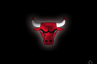 Chicago Bulls Wallpapers