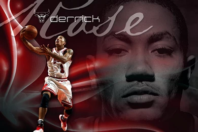 Chicago Bulls Wallpapers WF1048