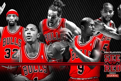 Chicago Bulls Wallpapers WF1057