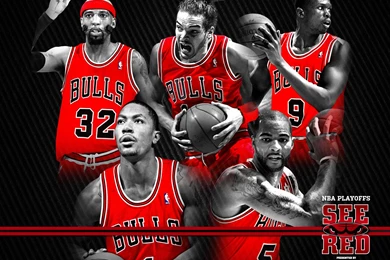 Chicago Bulls Wallpapers WF1056