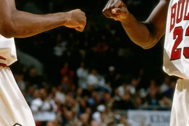 Chicago Bulls Wallpapers WF1049