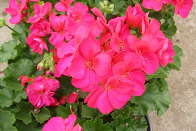 Sunset Wallpapers   Wallpaper.