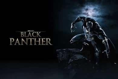 49 Black Panther HD Wallpapers