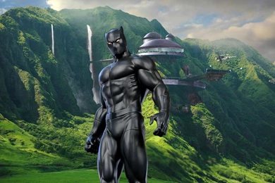 Black Panther Hd Wallpapers