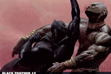 49 Black Panther HD Wallpapers