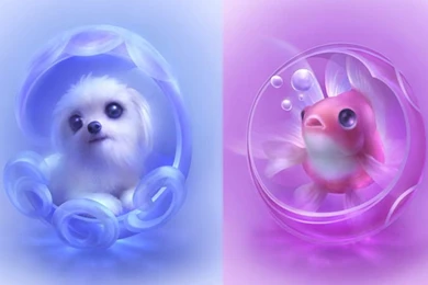 Cute Wallpapers   Google Search