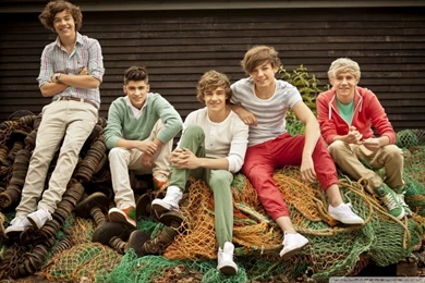 One Direction Band HD Desktop Wallpapers : Widescreen : High ...