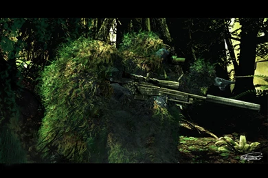 US Marine Scout Sniper Team Computer Wallpapers, Desktop ...