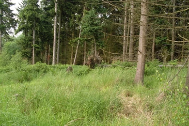 Ghillie Suit Wallpapers   Wallpapers Cave