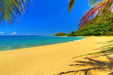 Golden Sands Beach Wallpapers
