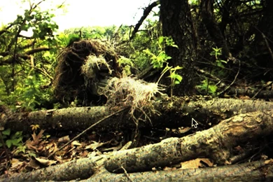 Marine Sniper 1080p Wallpapers   Mbagusi.com