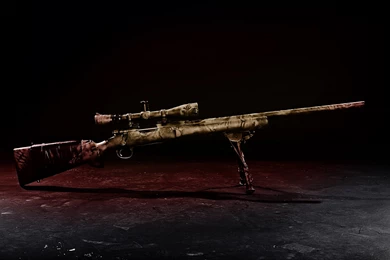 Quotes About Guns By Snipers. QuotesGram